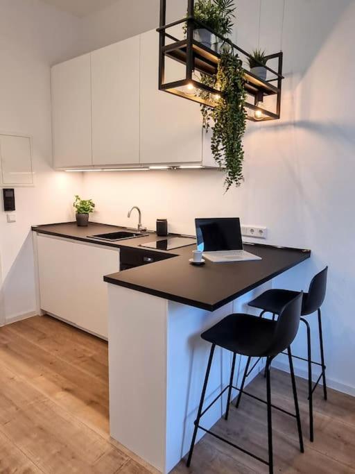 Modernes Apartment 卡尔斯鲁厄 外观 照片